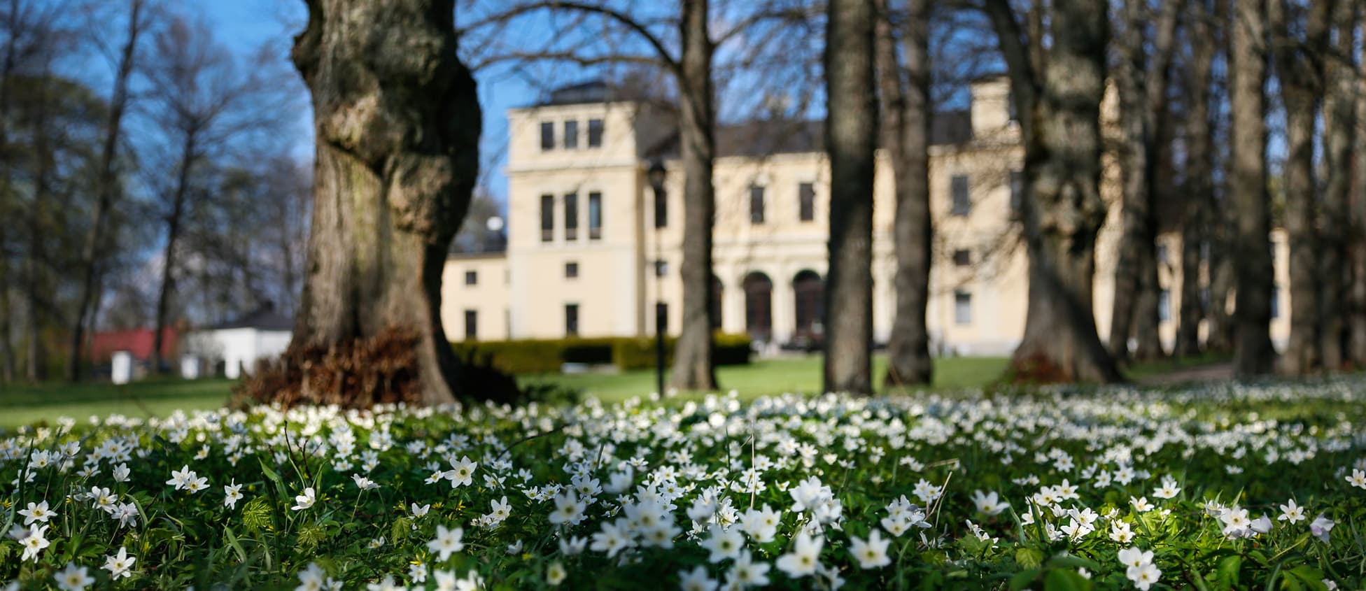 Rånäs Slott – bild 3 av 5