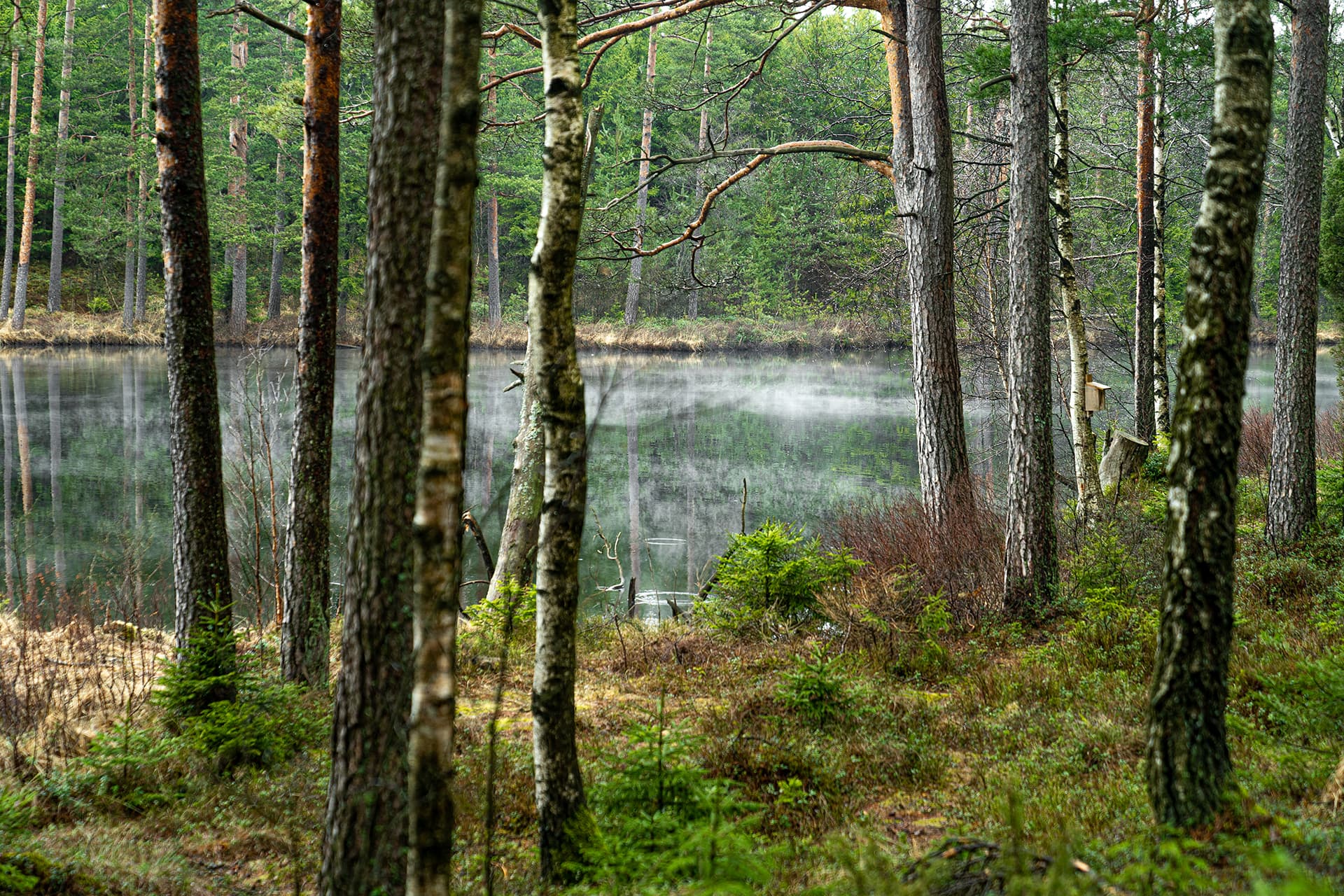 Hjortseryd – bild 3 av 3