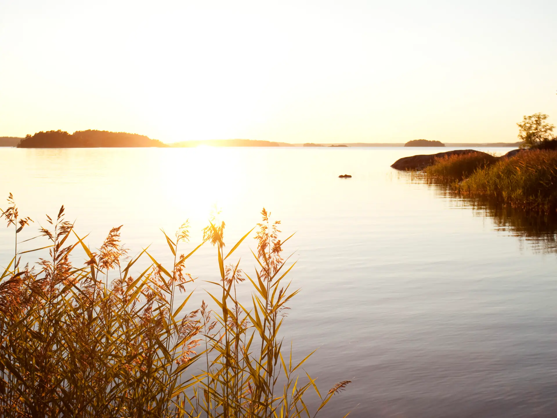 Grinda Wärdshus – natur & friluft i Vaxholm